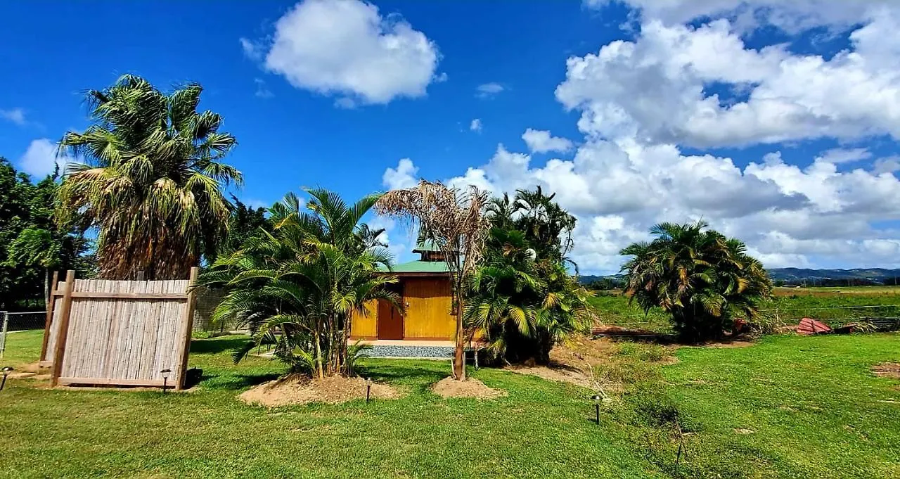 Ariami Rose Hotel Aguada Puerto Rico